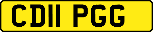CD11PGG