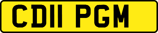 CD11PGM
