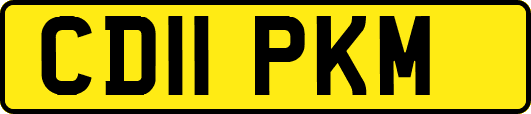 CD11PKM