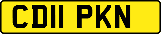 CD11PKN