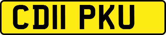 CD11PKU