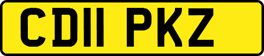 CD11PKZ