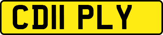 CD11PLY