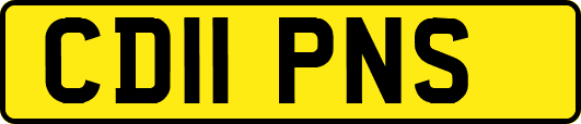 CD11PNS