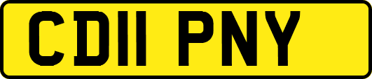CD11PNY