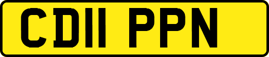 CD11PPN