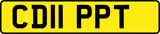 CD11PPT