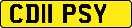 CD11PSY