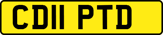 CD11PTD
