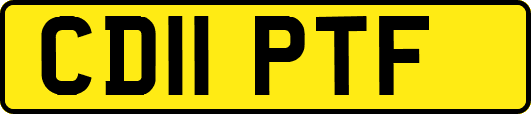 CD11PTF
