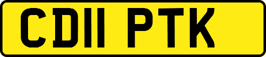 CD11PTK