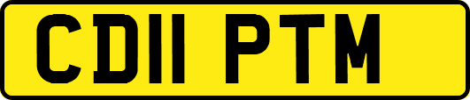 CD11PTM