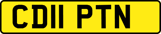 CD11PTN