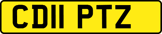 CD11PTZ