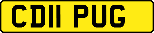 CD11PUG