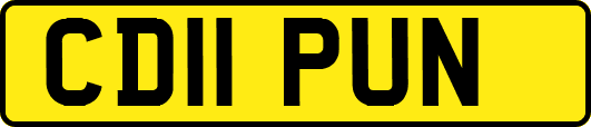 CD11PUN