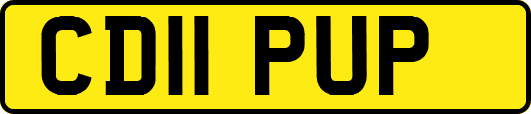 CD11PUP
