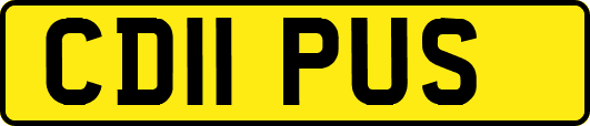 CD11PUS
