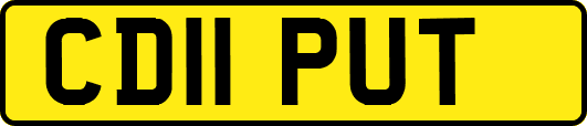 CD11PUT