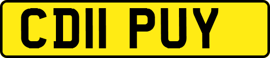 CD11PUY