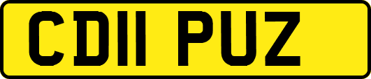 CD11PUZ
