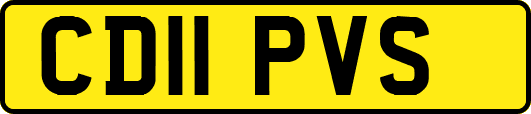 CD11PVS
