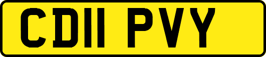 CD11PVY