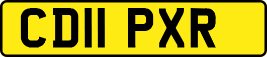 CD11PXR