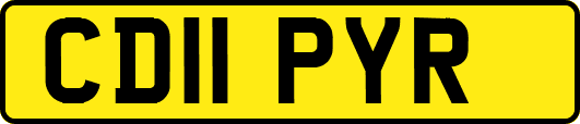 CD11PYR