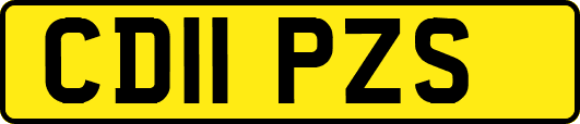 CD11PZS