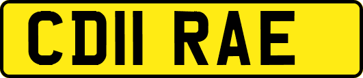 CD11RAE