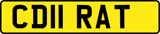 CD11RAT
