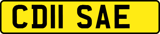 CD11SAE