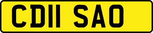 CD11SAO