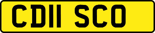 CD11SCO