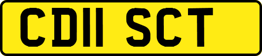 CD11SCT