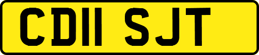 CD11SJT