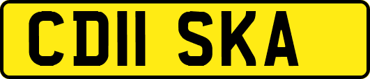 CD11SKA
