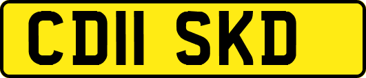 CD11SKD