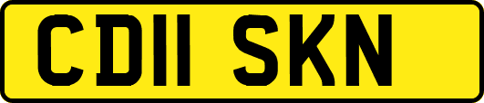 CD11SKN