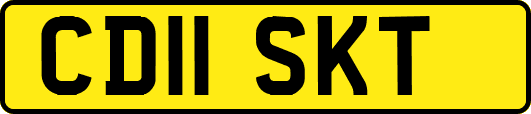 CD11SKT