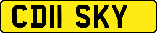 CD11SKY