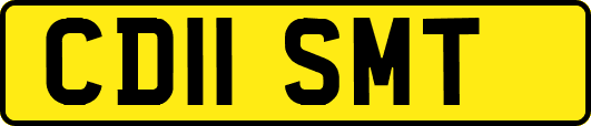 CD11SMT