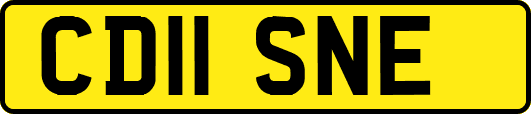 CD11SNE