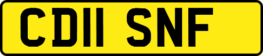 CD11SNF