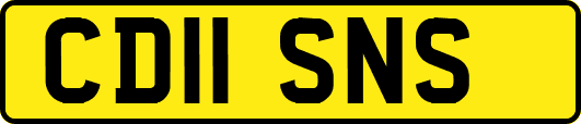 CD11SNS