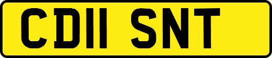 CD11SNT