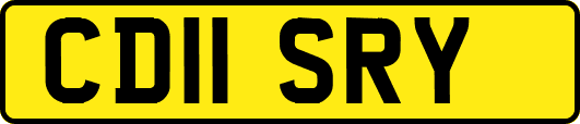 CD11SRY