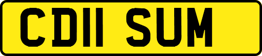 CD11SUM