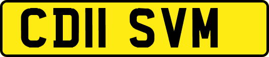 CD11SVM